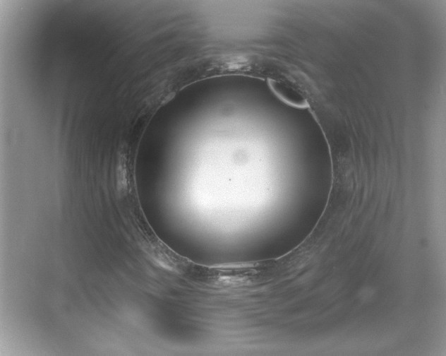 X0000069401442200605151006
