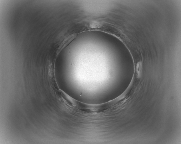 X0000069401443200605151006