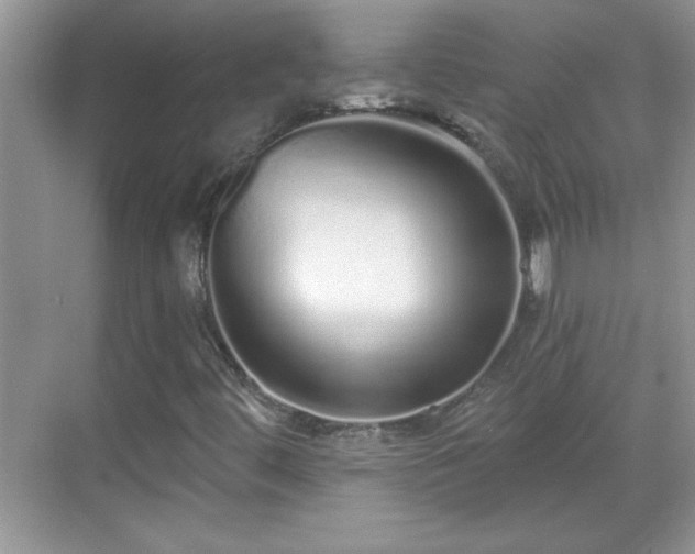 X0000069401444200605151006