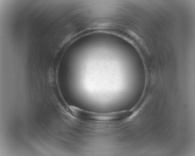 X0000069401449200605151006