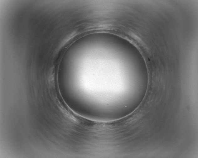 X0000069401450200605151006