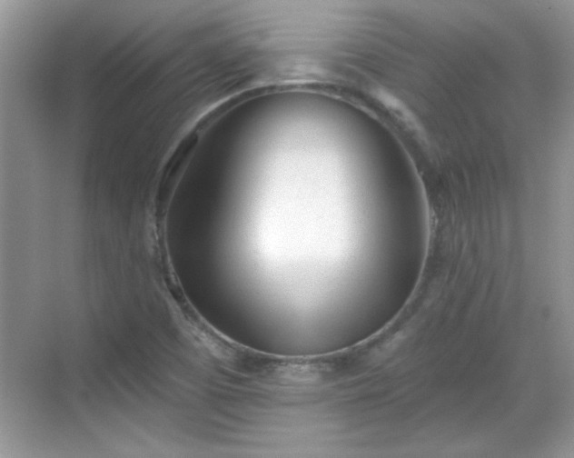 X0000069401457200605151006
