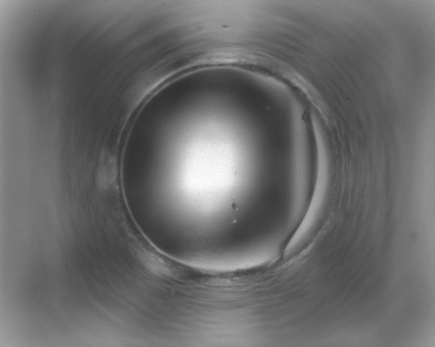 X0000069401465200605151006