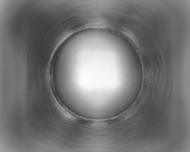 X0000069401466200605151006