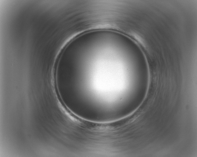 X0000069401468200605151006