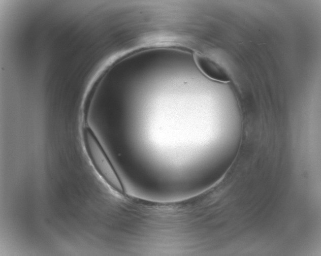 X0000069401472200605151006
