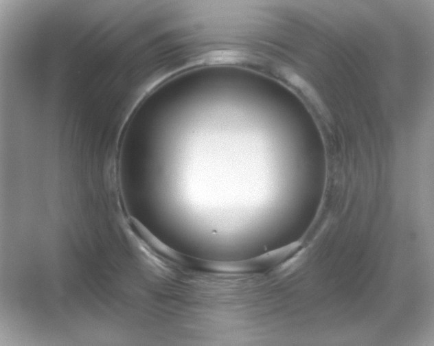 X0000069401473200605151006