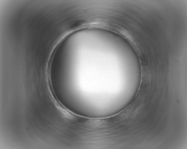 X0000069401474200605151006