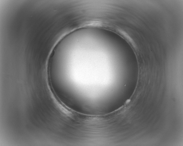 X0000069401475200605151006