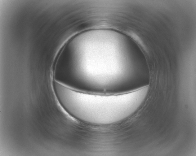 X0000069401476200605151006