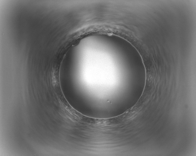 X0000069401490200605151005