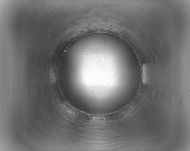 X0000069401491200605151005