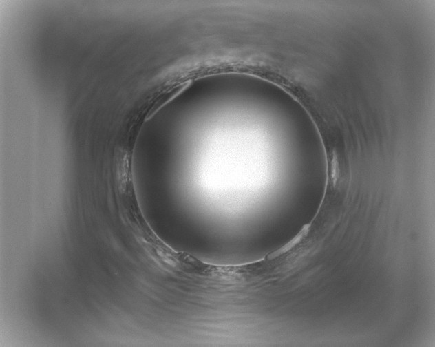 X0000069401492200605151005