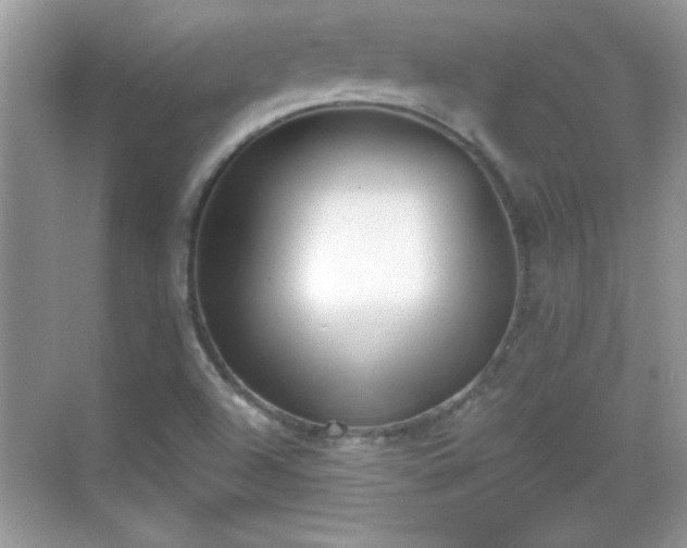 X0000069401504200605151005