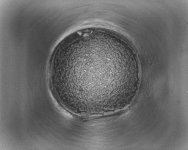 X0000069401522200605151005