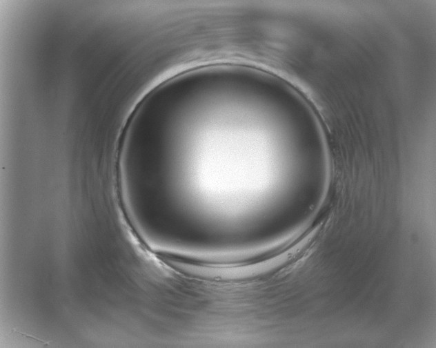 X0000069401534200605151005