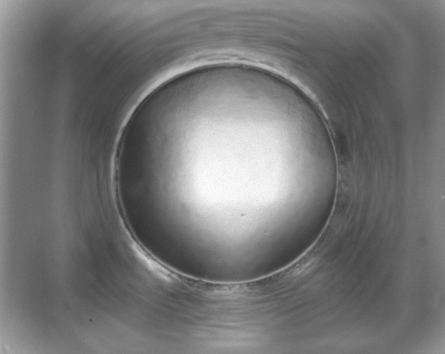 X0000069401535200605151006