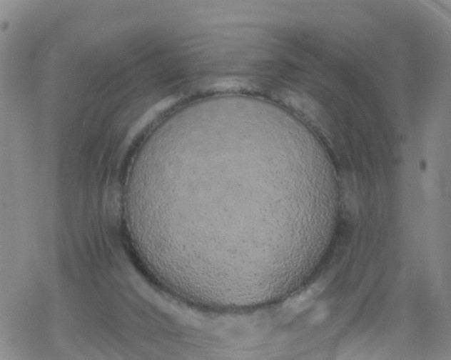 X0000069400016200605192250