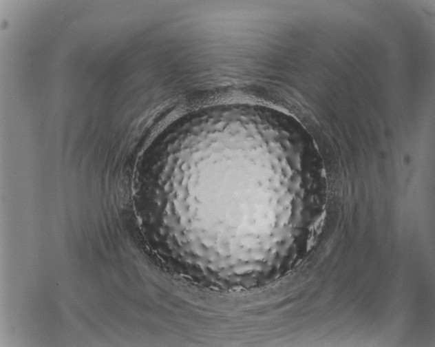 X0000069400043200605192250