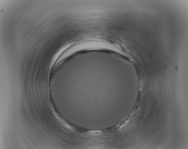 X0000069400052200605192249