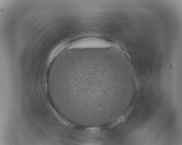 X0000069400053200605192249