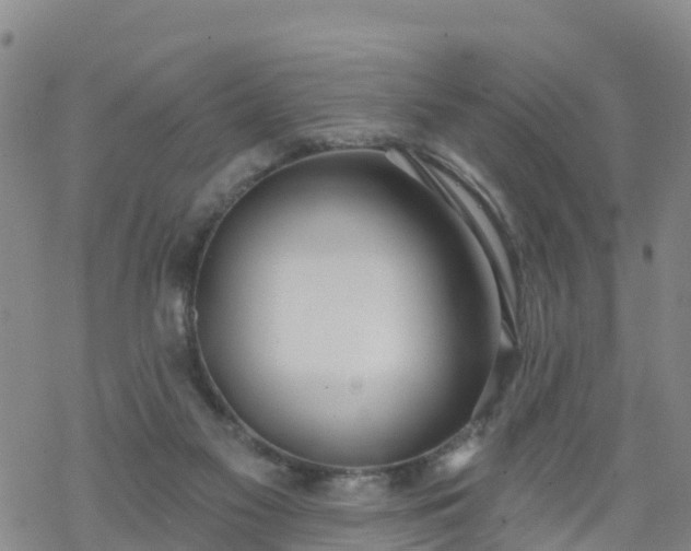 X0000069400117200605192249