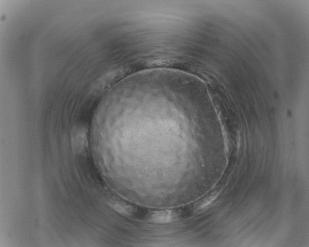 X0000069400127200605192248