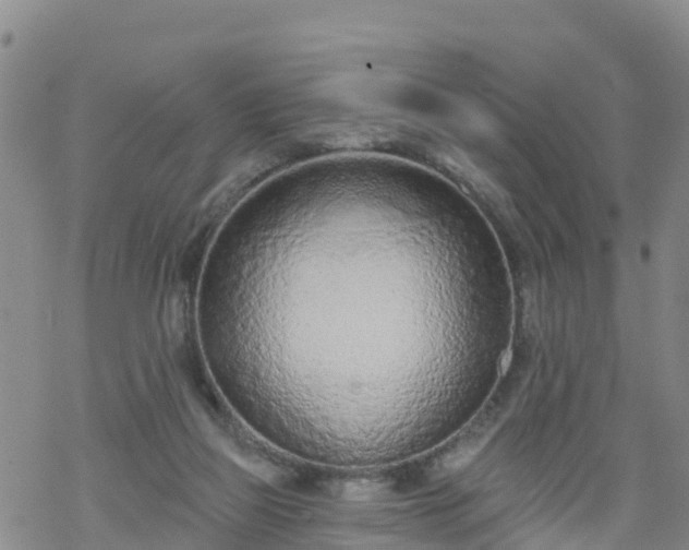 X0000069400165200605192248