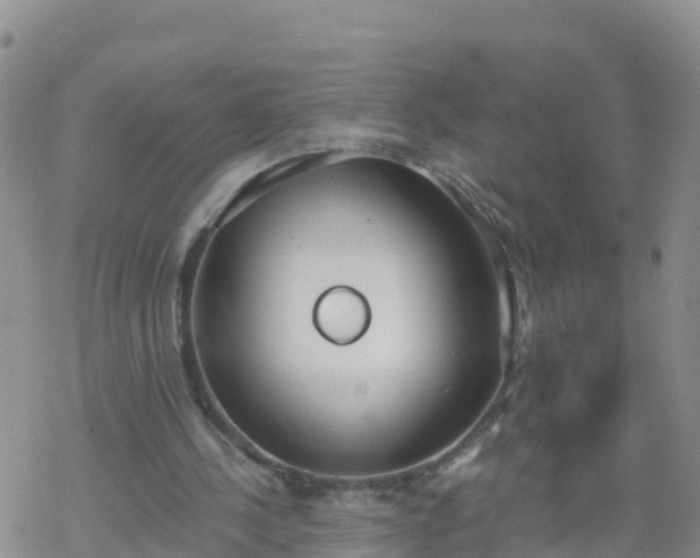 X0000069400244200605192246