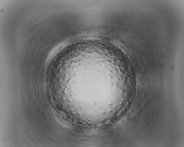 X0000069400293200605192246