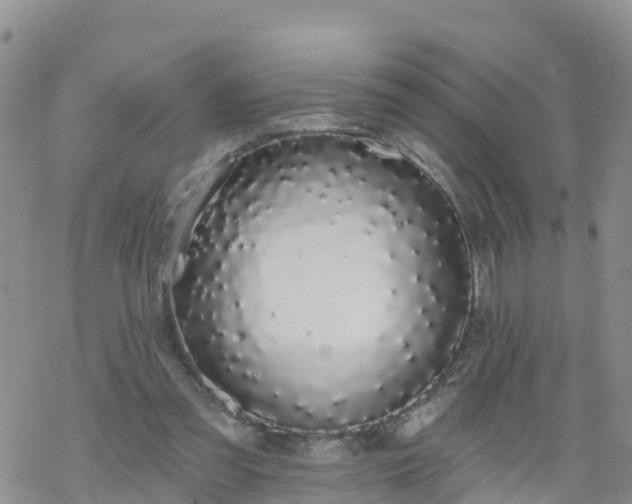 X0000069400301200605192246