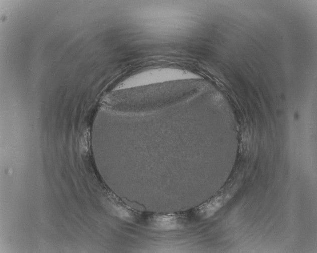 X0000069400325200605192245