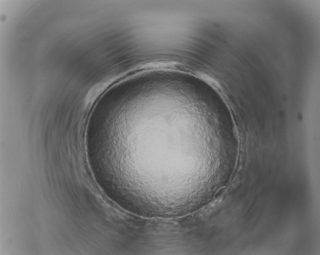 X0000069400337200605192244