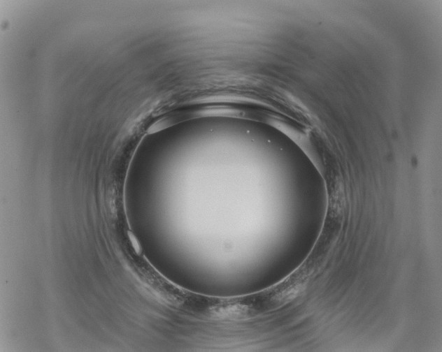 X0000069400452200605192243