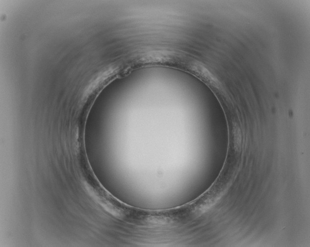 X0000069400490200605192243