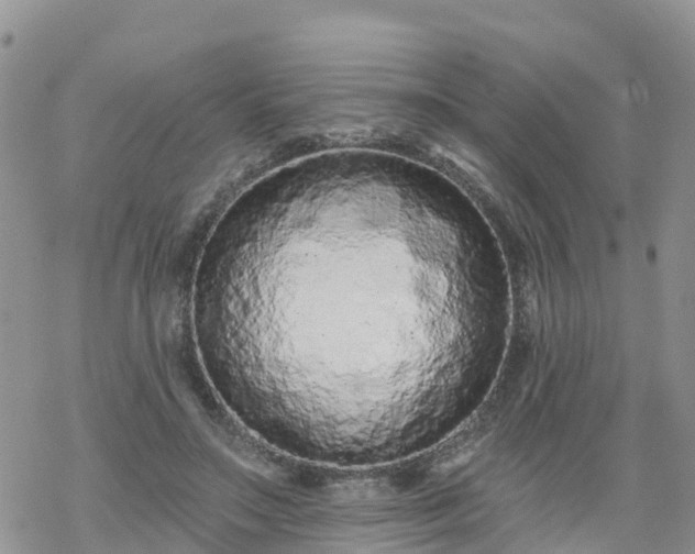 X0000069400499200605192242