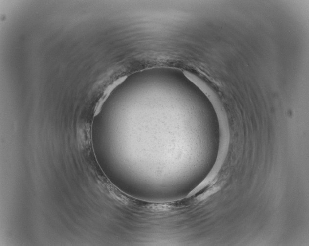 X0000069400528200605192242