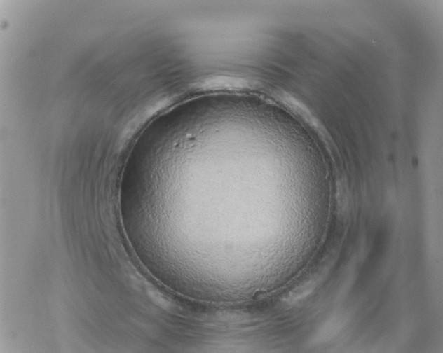 X0000069400529200605192241