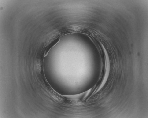 X0000069400562200605192242