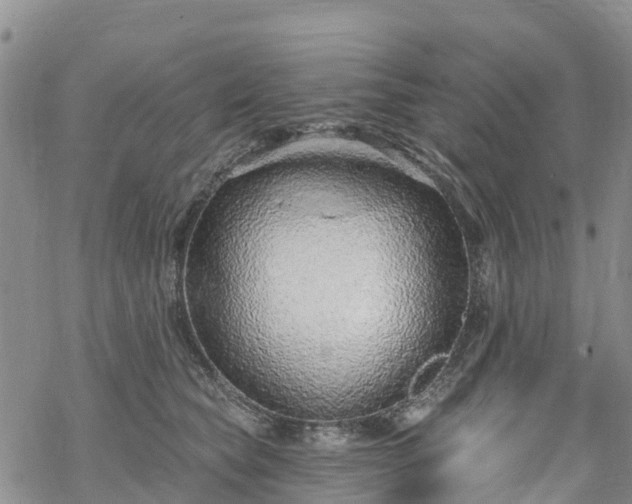 X0000069400565200605192242