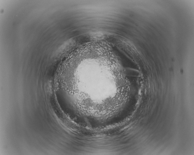 X0000069400598200605192241