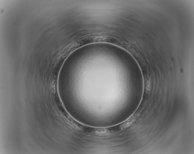 X0000069400666200605192240