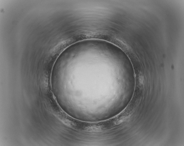 X0000069400691200605192239