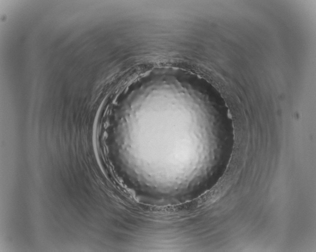 X0000069400720200605192239