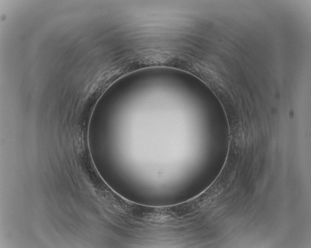 X0000069400743200605192238