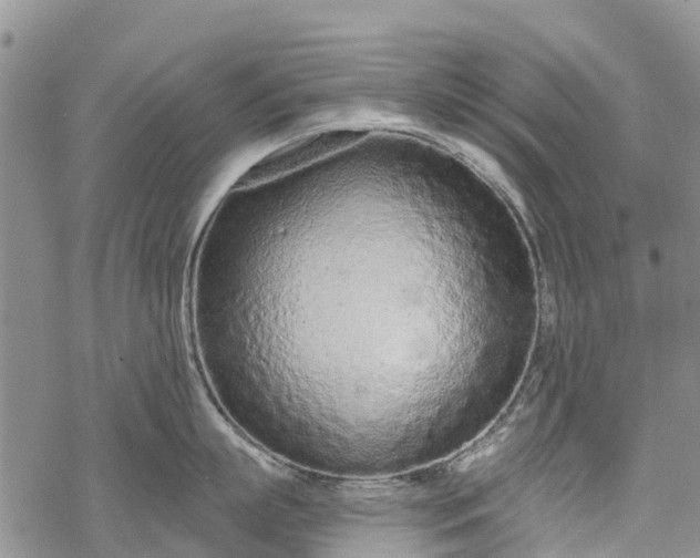 X0000069400863200605192237