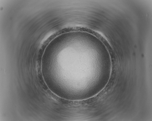 X0000069400871200605192236