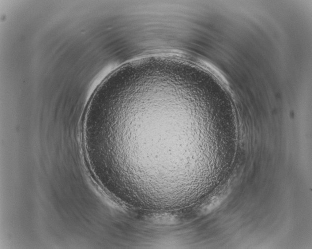 X0000069400907200605192236