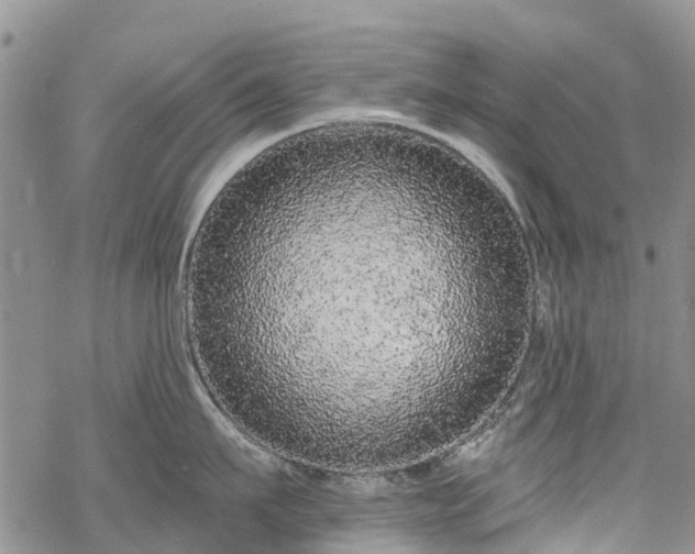 X0000069400911200605192236