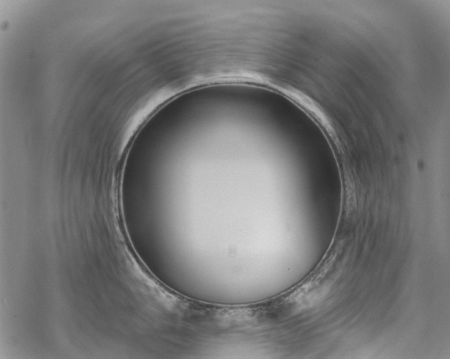 X0000069401006200605192234